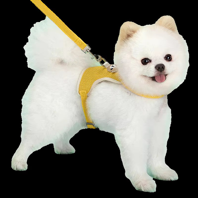 Cute Pet Harness Leash Set for Small Mid Dogs Cat Walking Lead Chihuahua Bunny Vest Harness Poodle Collar Leash Dog Accessories